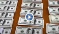 Хванаха фалшиви милиони долари и евро, печатани в университет в София