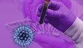 Откриха рядък вариант на коронавирус в Италия