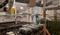 Разкриха оранжерия за канабис в къщата на баба с трима внуци