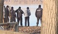 Зачестяват случаите на риболов с електрошок в река Дунав