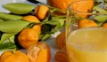 Руски диетолог: Редовното пиене на прясно изцеден сок води до диабет