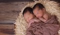 Заради инвитро технологията - бум на ражданията на близнаци в световен мащаб