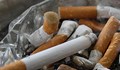 Прогноза: До 2050 година цигарите може да изчезнат в много части на света