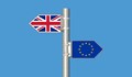 Великобритания спря износа на сьомга, говеждо и уиски към страните от ЕС