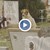 Българският Хачико – куче бди до гроба на мъж
