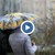 Валежите ще продължат и утре Валежите ще продължат и утре