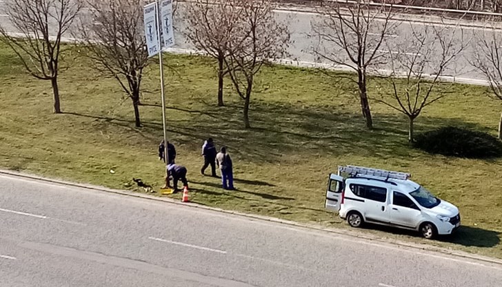 Русенец, пътуващ по булеварда, ги снима Русенец, пътуващ по булеварда, ги снима