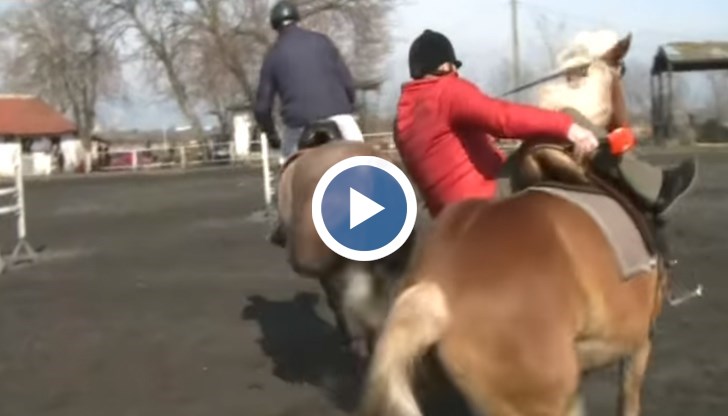 На Тодоровден Калчо Петков беше хвърлен от коня, явно недоволен, че ще го дават по телевизията