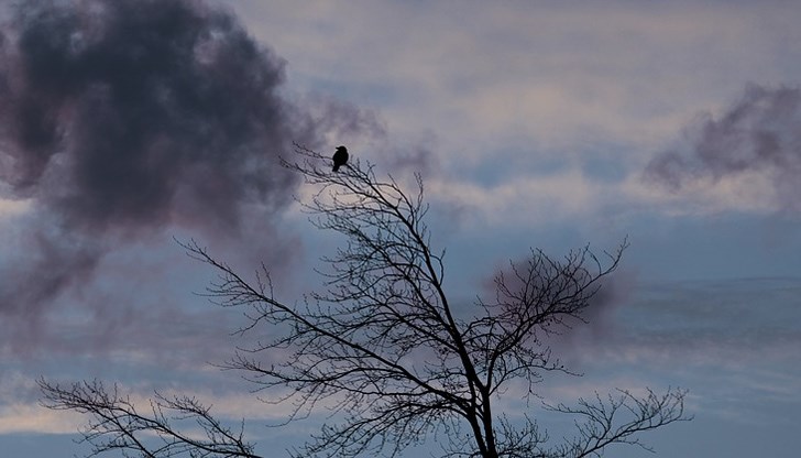 Минималните температури ще са предимно между минус 2° и 3°. Максималните температури ще са от 1° до 3° в Северозападна България Минималните температури ще са предимно между минус 2° и 3°. Максималните температури ще са от 1° до 3° в Северозападна България