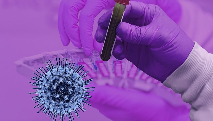 Друг такъв щам е бил идентифициран досега само в Тайланд Друг такъв щам е бил идентифициран досега само в Тайланд