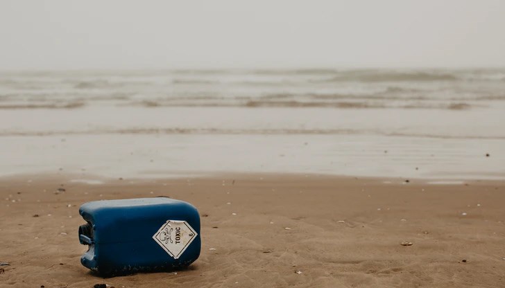 Неотдавна стотици мъртви патици и чайки, а също и делфини са били изхвърлени на брега близо до руския курортен град Сочи на източния край на Черно море.