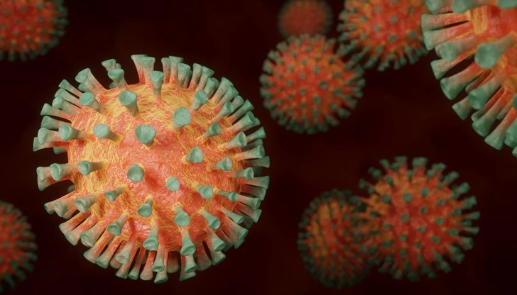 Новият вариант на коронавируса не е по-опасен от британския щам