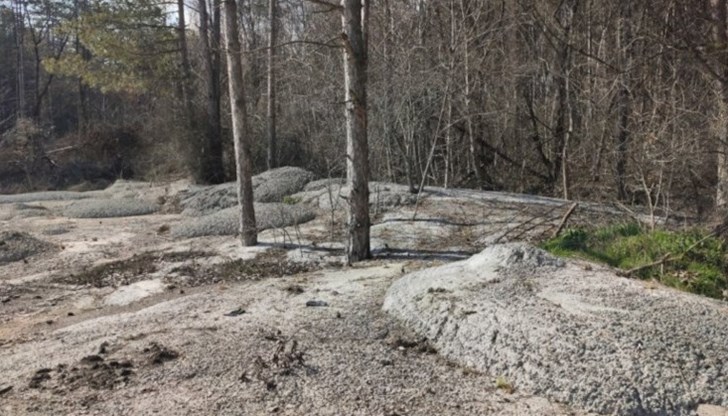 Абсурдните кадри са заснети в района на Търговище