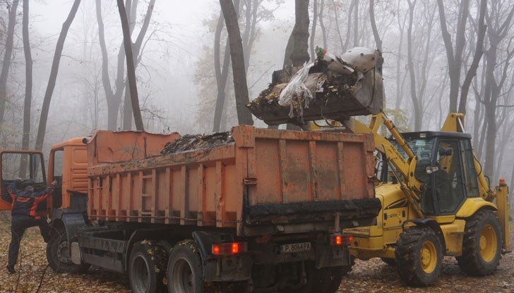 Изчистени са 16 терена, премахнати са и 44 изгнили дървета