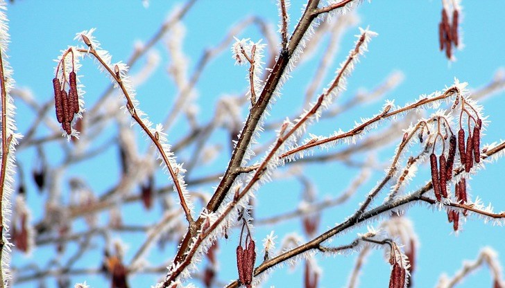 Ще духа до умерен, в Източна България временно силен вятър със северна компонента, с който ще нахлуе още студен въздух