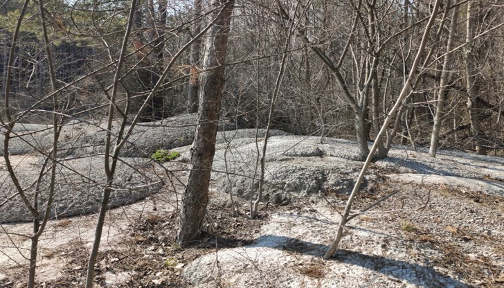 Това, което виждате на снимката не е сняг, а бетон!