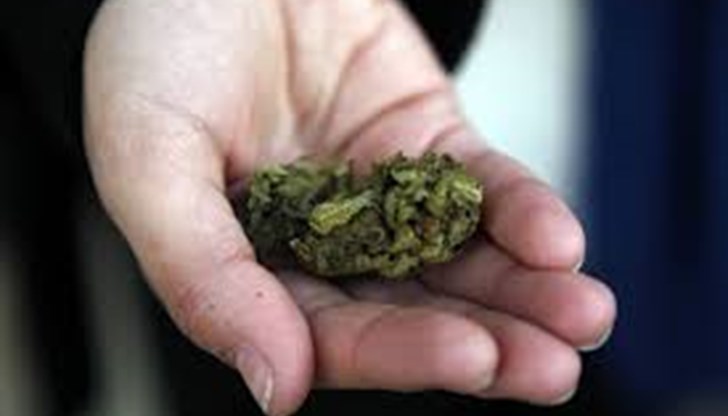 Открити са  21 килограма суха маса марихуана, която е била подготвена за разпространение на територията на цялата страна