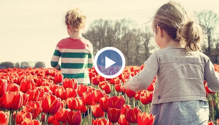 Това е изложило на сериозен риск тяхното здраве и благосъстояние, става ясно от доклад на УНИЦЕФ