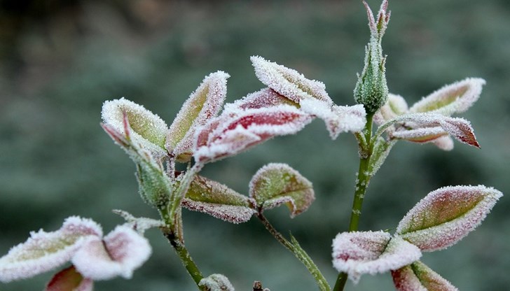 Ден преди астрономическата пролет, температурите в страната са едва от 7 до 12 градуса