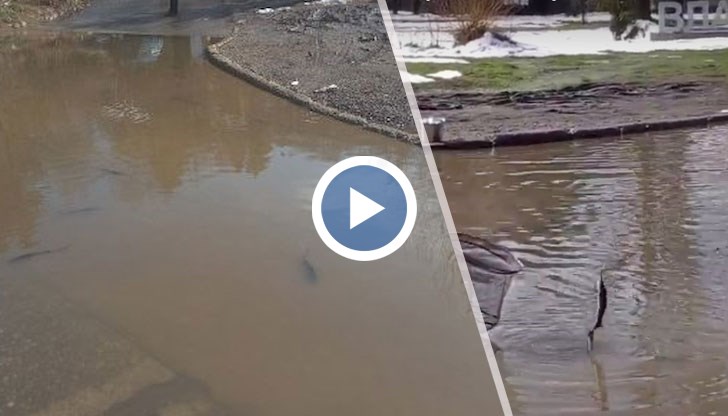 За гьола Столична община нехае от миналото лято