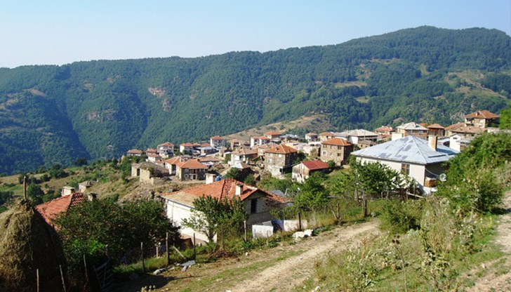 Случаят с обучението на един единствен ученик в Осиково е разрешен от образователните институции като изнесено училище