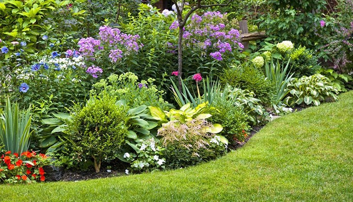 Експертите призовават желаещите да кандидатстват още сега и дават съвети