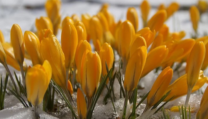 Максималните температури в по-голямата част от страната ще са между 2° и 7°