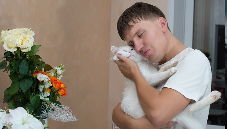 Обяснение за котешките целувки Обяснение за котешките целувки