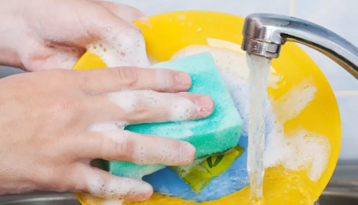 Те са развъдник на бактерии Те са развъдник на бактерии