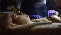 Откриха първата в света мумия на бременна жена