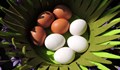 Лесен трик за избелване на кафявите яйца