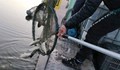 Зарибиха езерото в Лесопарк “Липник” с един тон риба