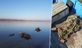 Инспектори направиха проверка по вода на река Дунав