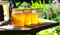 Апитерапевт: Не яжте пролетен мед, пълен е с химикали
