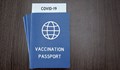 13 държави от ЕС са се споразумели за Covid паспортите