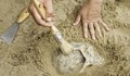 В България откриха човешки останки на 45 000 години