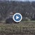 Трактор смачка новозасадена гора в Русенско