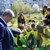 Малчугани от 13 детски градини в Русе садиха дръвчета