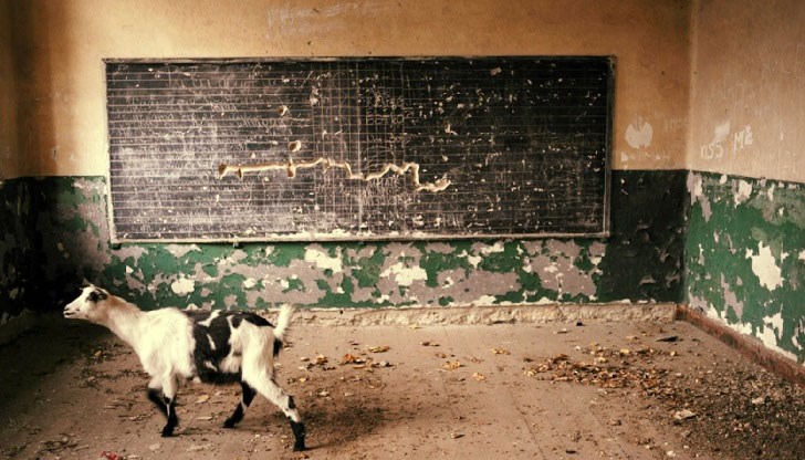 Дали с цивилизационния си избор не сме се втурнали към национална гибел? Дали с цивилизационния си избор не сме се втурнали към национална гибел?