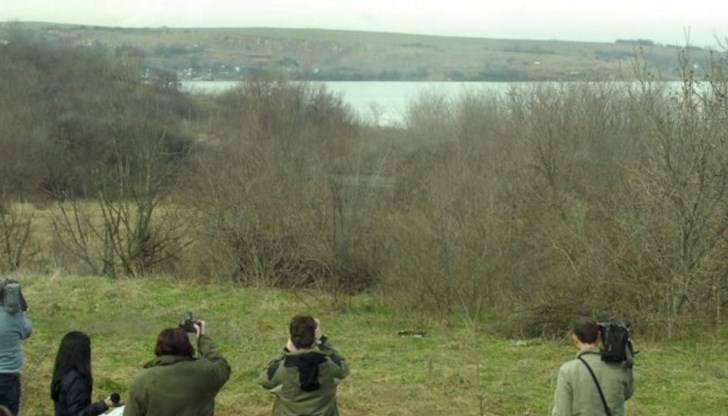 Държавното обвинение мълчи вече година за резултатите от разпоредената от главния прокурор Иван Гешев проверка на заменките на гори в стил "кон за кокошка"