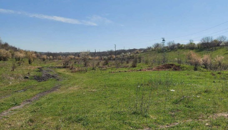 За почистването на нерегламентирани сметища ежегодно се отделят повече от 250 хиляди лева от общинския бюджет За почистването на нерегламентирани сметища ежегодно се отделят повече от 250 хиляди лева от общинския бюджет