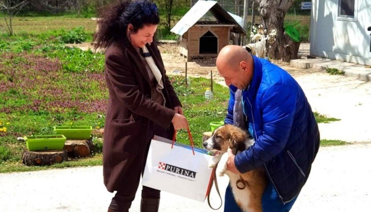 Инициативата е на Сдружението за защита правата на животните и „Нестле България“, които искат да насърчат русенци да си осиновяват домашни любимци