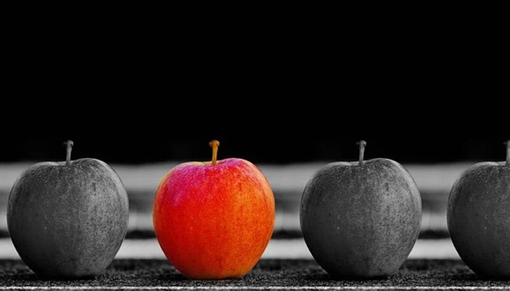 Забранена е политическата агитацията и оповестяването на социологически данни за нагласите на избирателите