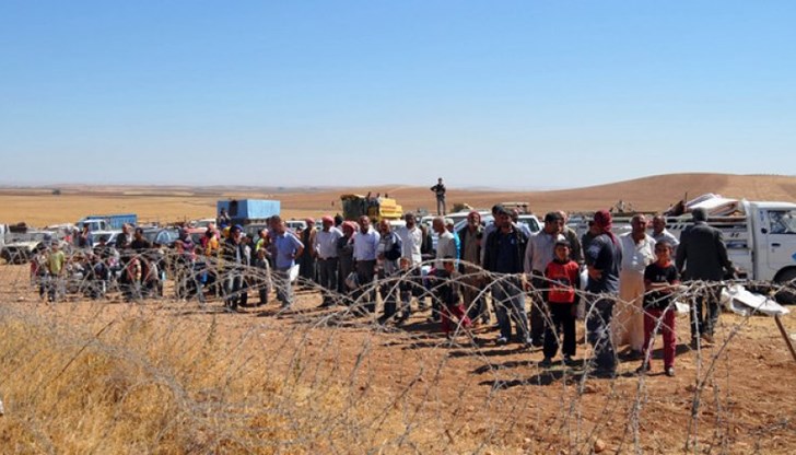 48 мигранти от Сирия и Ирак са били намерени премръзнали на турско-българската граница в Къркларели