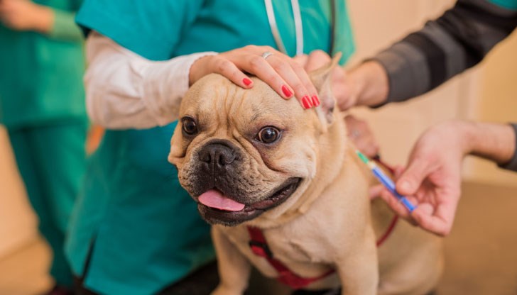 Първата партида е от 17 000 дози Първата партида е от 17 000 дози