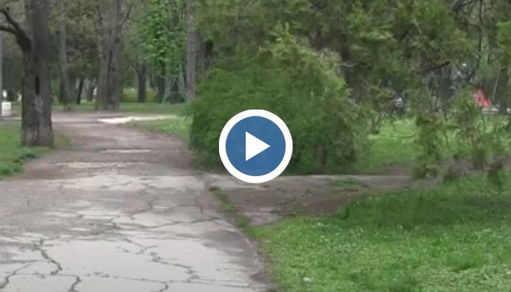 Дейностите предвиждат асфалтиране на част от алеите, подобряване на осветлението и видеонаблюдението в района и изграждане на нова детска площадка