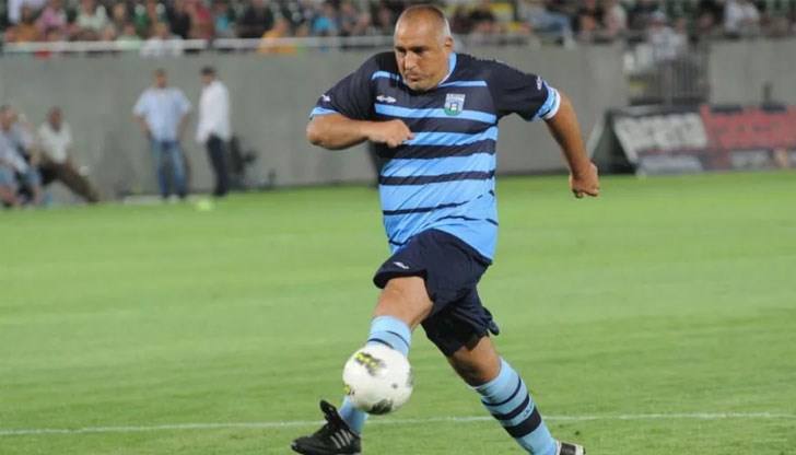 Някои имат по няколко менискуса на всеки крак за сметка на други органи... Някои имат по няколко менискуса на всеки крак за сметка на други органи...