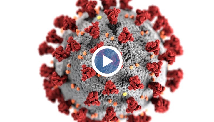 При тази вариация, вирусът се свързва по-здраво с клетките