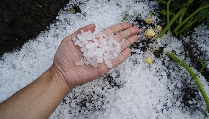 В местната администрация засега не е постъпвала информация за щети от валежите, тъй като все още няма посеви в района В местната администрация засега не е постъпвала информация за щети от валежите, тъй като все още няма посеви в района