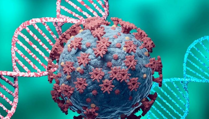 Внесен е от турист, който се е завърнал от Индия